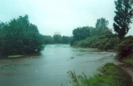  Orchard Park 25/06/07 (12) 