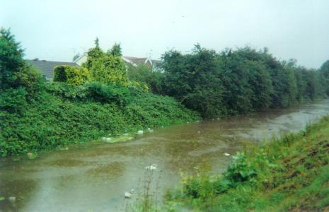  Orchard Park 25/06/07 (3) 