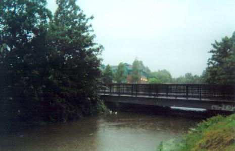  Orchard Park 25/06/07 (4) 